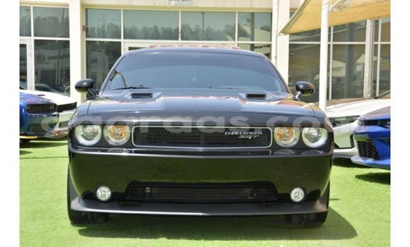 Acheter Import Voiture Dodge Challenger Noir à Import - Dubai, Dakar