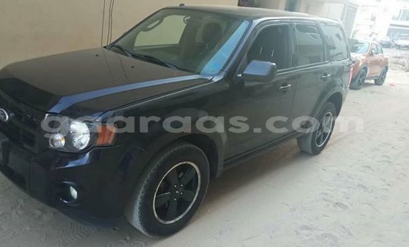 Acheter Occasion Voiture Ford Escape Noir à Dakar, Dakar Acheter Occasion Voiture Ford Escape Noir à Dakar, Dakar