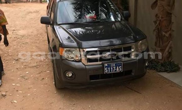 Dieundeu Occasion Ford Escape Black Auto in Dakar in Dakar Dieundeu Occasion Ford Escape Black Auto in Dakar in Dakar