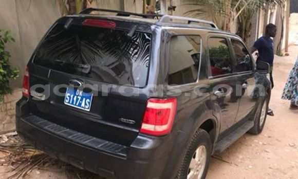 Dieundeu Occasion Ford Escape Black Auto in Dakar in Dakar Dieundeu Occasion Ford Escape Black Auto in Dakar in Dakar