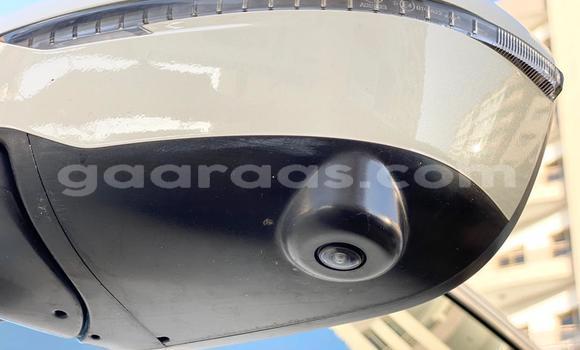 Buy New Nissan Rogue White Car in Dakar in Dakar Buy New Nissan Rogue White Car in Dakar in Dakar