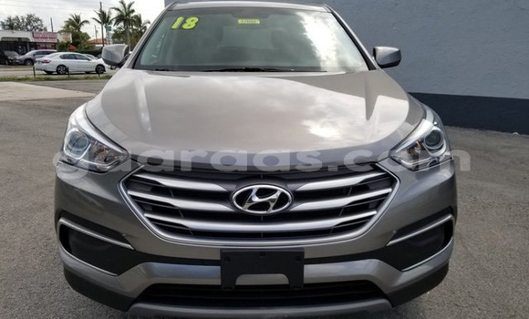 Dieundeu Occasion Hyundai Santa Fe Silver Auto in Diofior in Fatick