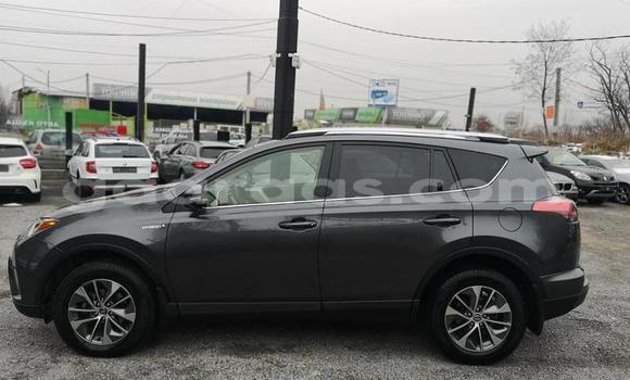 Dieundeu Occasion Toyota RAV4 Other Auto in Bakel in Tambacounda Dieundeu Occasion Toyota RAV4 Other Auto in Bakel in Tambacounda