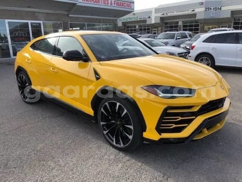 Big with watermark lamborghini urus concept dakar dakar 7022