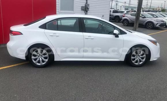 Acheter Occasion Voiture Toyota Corolla Blanc à Dakar, Dakar Acheter Occasion Voiture Toyota Corolla Blanc à Dakar, Dakar