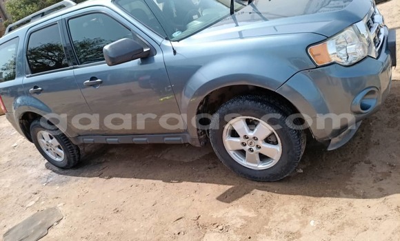 Dieundeu Occasion Ford Escape Silver Auto in Dakar in Dakar Dieundeu Occasion Ford Escape Silver Auto in Dakar in Dakar