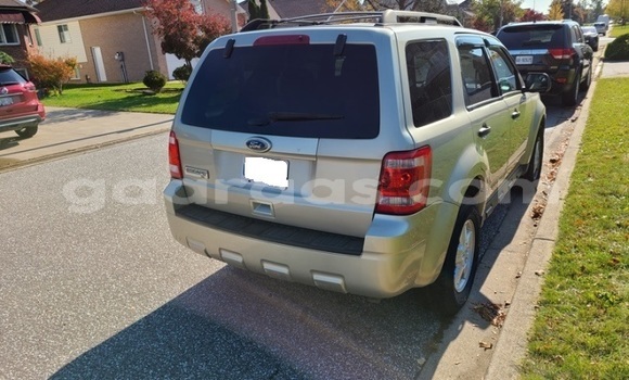 Acheter Occasion Voiture Ford Escape Beige à Dakar, Dakar