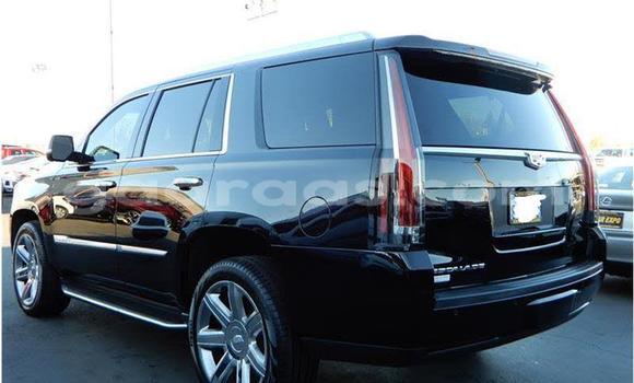 Acheter Import Utilitaire Mercedes‒Benz Truck Noir à Dakar, Dakar Acheter Import Utilitaire Mercedes‒Benz Truck Noir à Dakar, Dakar