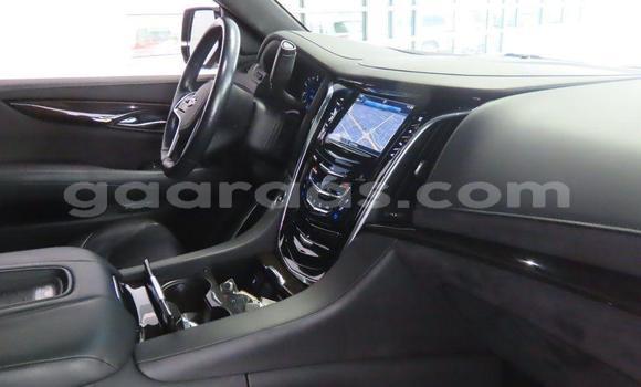 Acheter Import Utilitaire Mercedes‒Benz Truck Noir à Dakar, Dakar Acheter Import Utilitaire Mercedes‒Benz Truck Noir à Dakar, Dakar