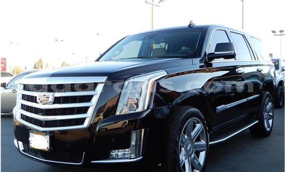 Acheter Import Utilitaire Mercedes‒Benz Truck Noir à Dakar, Dakar Acheter Import Utilitaire Mercedes‒Benz Truck Noir à Dakar, Dakar