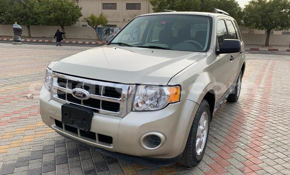 Acheter Occasion Voiture Ford Escape Beige à Dakar, Dakar Acheter Occasion Voiture Ford Escape Beige à Dakar, Dakar
