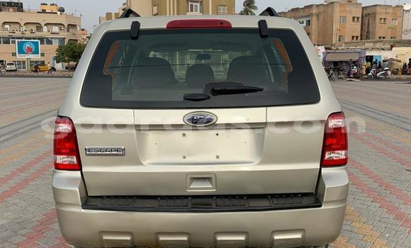 Acheter Occasion Voiture Ford Escape Beige à Dakar, Dakar Acheter Occasion Voiture Ford Escape Beige à Dakar, Dakar