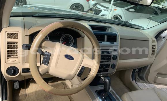 Dieundeu Imported Ford Escape Beige Auto in Dakar in Dakar Dieundeu Imported Ford Escape Beige Auto in Dakar in Dakar