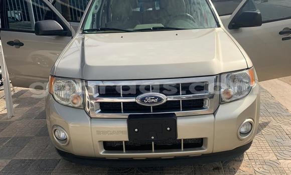 Dieundeu Imported Ford Escape Beige Auto in Dakar in Dakar Dieundeu Imported Ford Escape Beige Auto in Dakar in Dakar