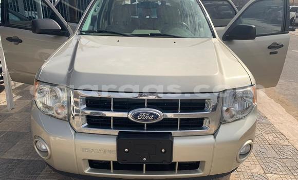 Dieundeu Imported Ford Escape Beige Auto in Dakar in Dakar Dieundeu Imported Ford Escape Beige Auto in Dakar in Dakar