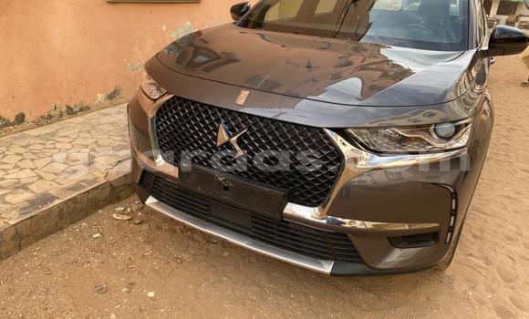 Buy Import DS 7 Crossback Brown Car in Dakar in Dakar Buy Import DS 7 Crossback Brown Car in Dakar in Dakar