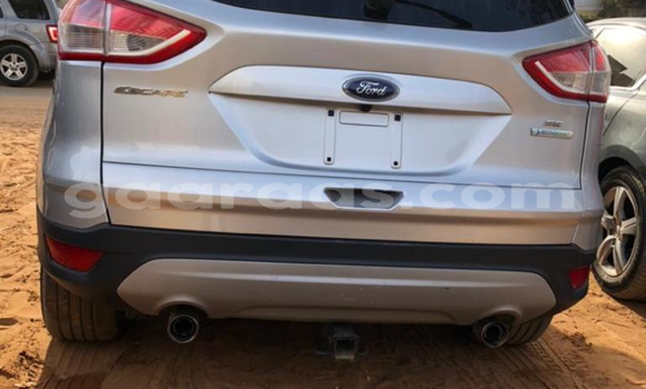Acheter Neuf Voiture Ford Escape Blanc à Dakar, Dakar Acheter Neuf Voiture Ford Escape Blanc à Dakar, Dakar