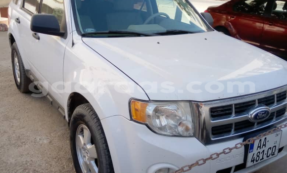 Acheter Neuf Voiture Ford Escape Blanc à Dakar, Dakar