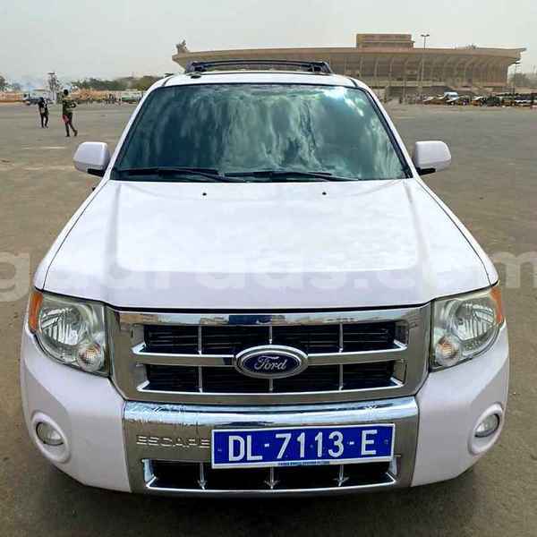 Big with watermark ford escape tambacounda bakel 7346