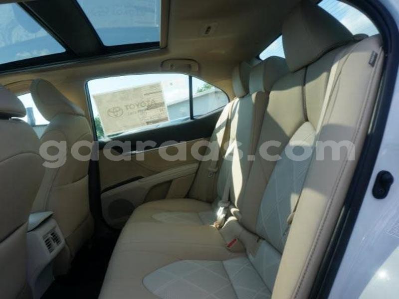 Big with watermark camry 7