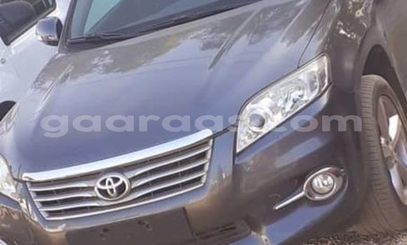 Acheter Occasion Voiture Toyota RAV4 Noir à Dakar, Dakar