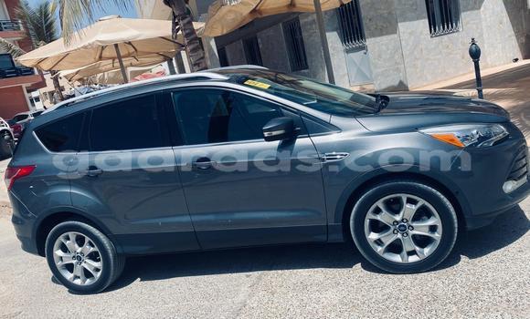 Acheter Import Voiture Ford Escape Gris à Dakar, Dakar