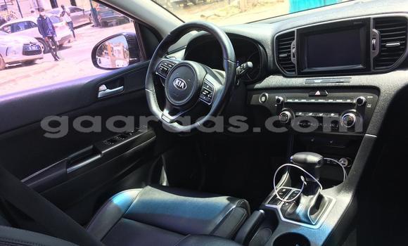 Buy Import Kia Sportage Black Car in Dakar in Dakar Buy Import Kia Sportage Black Car in Dakar in Dakar