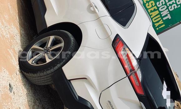 Buy Import Ford Edge White Car in Dakar in Dakar Buy Import Ford Edge White Car in Dakar in Dakar