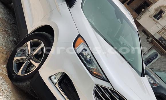 Buy Import Ford Edge White Car in Dakar in Dakar Buy Import Ford Edge White Car in Dakar in Dakar