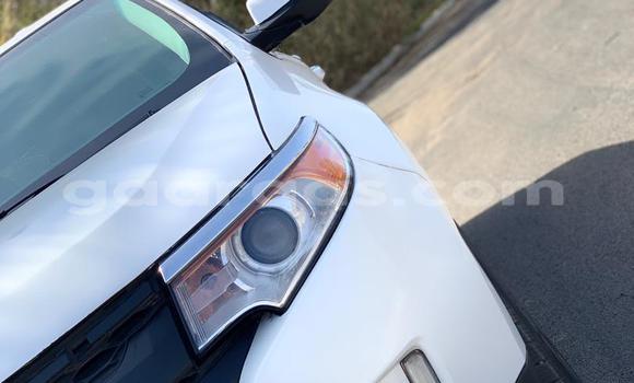 Buy Import Ford Edge White Car in Dakar in Dakar Buy Import Ford Edge White Car in Dakar in Dakar