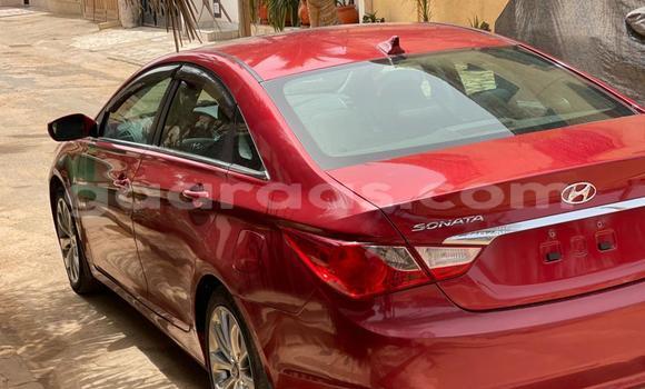 Buy Import Hyundai Sonata Red Car in Dakar in Dakar Buy Import Hyundai Sonata Red Car in Dakar in Dakar