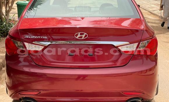 Buy Import Hyundai Sonata Red Car in Dakar in Dakar Buy Import Hyundai Sonata Red Car in Dakar in Dakar