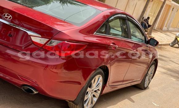 Buy Import Hyundai Sonata Red Car in Dakar in Dakar Buy Import Hyundai Sonata Red Car in Dakar in Dakar