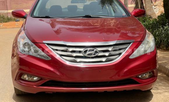 Buy Import Hyundai Sonata Red Car in Dakar in Dakar Buy Import Hyundai Sonata Red Car in Dakar in Dakar