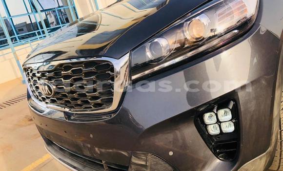 Acheter Import Voiture Kia Sorento Noir à Dakar, Dakar Acheter Import Voiture Kia Sorento Noir à Dakar, Dakar