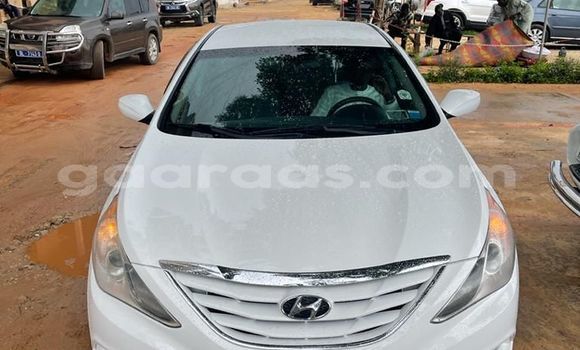 Dieundeu Occasion Ford Focus White Auto in Dakar in Dakar Dieundeu Occasion Ford Focus White Auto in Dakar in Dakar