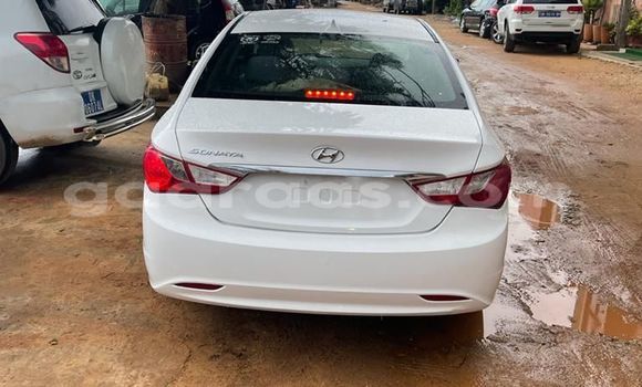 Dieundeu Occasion Ford Focus White Auto in Dakar in Dakar Dieundeu Occasion Ford Focus White Auto in Dakar in Dakar