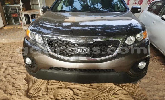 Acheter Import Voiture Kia Sorento Marron à Dakar, Dakar