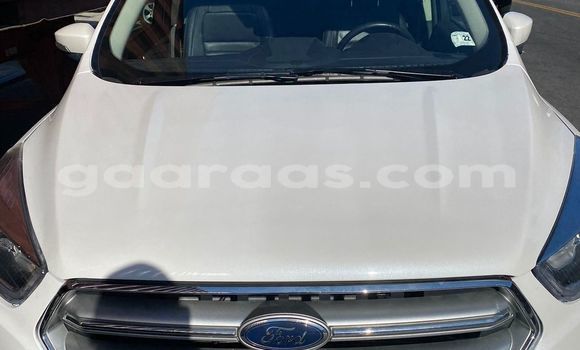Acheter Neuf Voiture Ford Escape Blanc à Dakar, Dakar Acheter Neuf Voiture Ford Escape Blanc à Dakar, Dakar