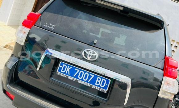 Buy Import Toyota Land Cruiser Prado Other Car in Dakar in Dakar Buy Import Toyota Land Cruiser Prado Other Car in Dakar in Dakar