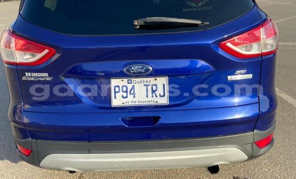 Buy Import Ford Escape Blue Car in Dakar in Dakar Buy Import Ford Escape Blue Car in Dakar in Dakar