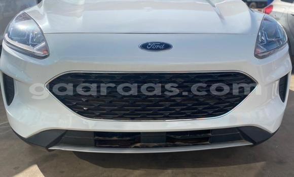 Buy New Ford Escape White Car in Dakar in Dakar Buy New Ford Escape White Car in Dakar in Dakar