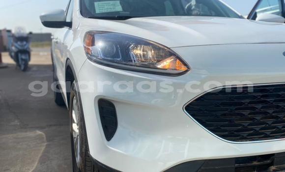 Buy New Ford Escape White Car in Dakar in Dakar Buy New Ford Escape White Car in Dakar in Dakar