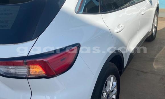 Buy New Ford Escape White Car in Dakar in Dakar Buy New Ford Escape White Car in Dakar in Dakar