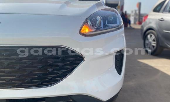 Buy New Ford Escape White Car in Dakar in Dakar Buy New Ford Escape White Car in Dakar in Dakar