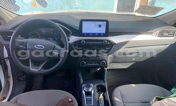 Buy New Ford Escape White Car in Dakar in Dakar Buy New Ford Escape White Car in Dakar in Dakar