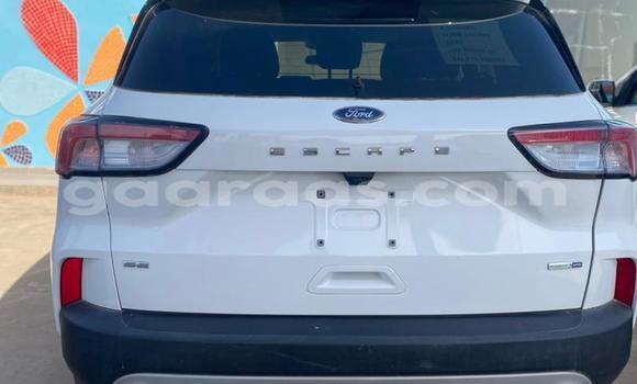 Buy New Ford Escape White Car in Dakar in Dakar Buy New Ford Escape White Car in Dakar in Dakar