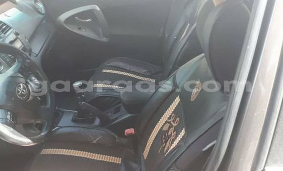 Dieundeu Occasion Ford Focus Red Auto in Dakar in Dakar Dieundeu Occasion Ford Focus Red Auto in Dakar in Dakar