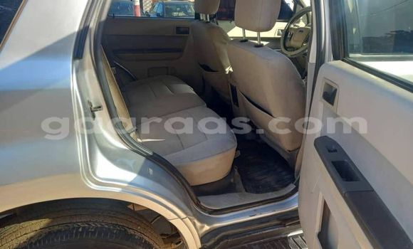 Acheter Occasion Voiture Ford Escape Gris à Dakar, Dakar Acheter Occasion Voiture Ford Escape Gris à Dakar, Dakar