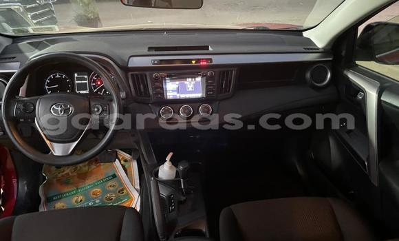 Buy Import Toyota RAV4 Red Car in Dakar in Dakar Buy Import Toyota RAV4 Red Car in Dakar in Dakar